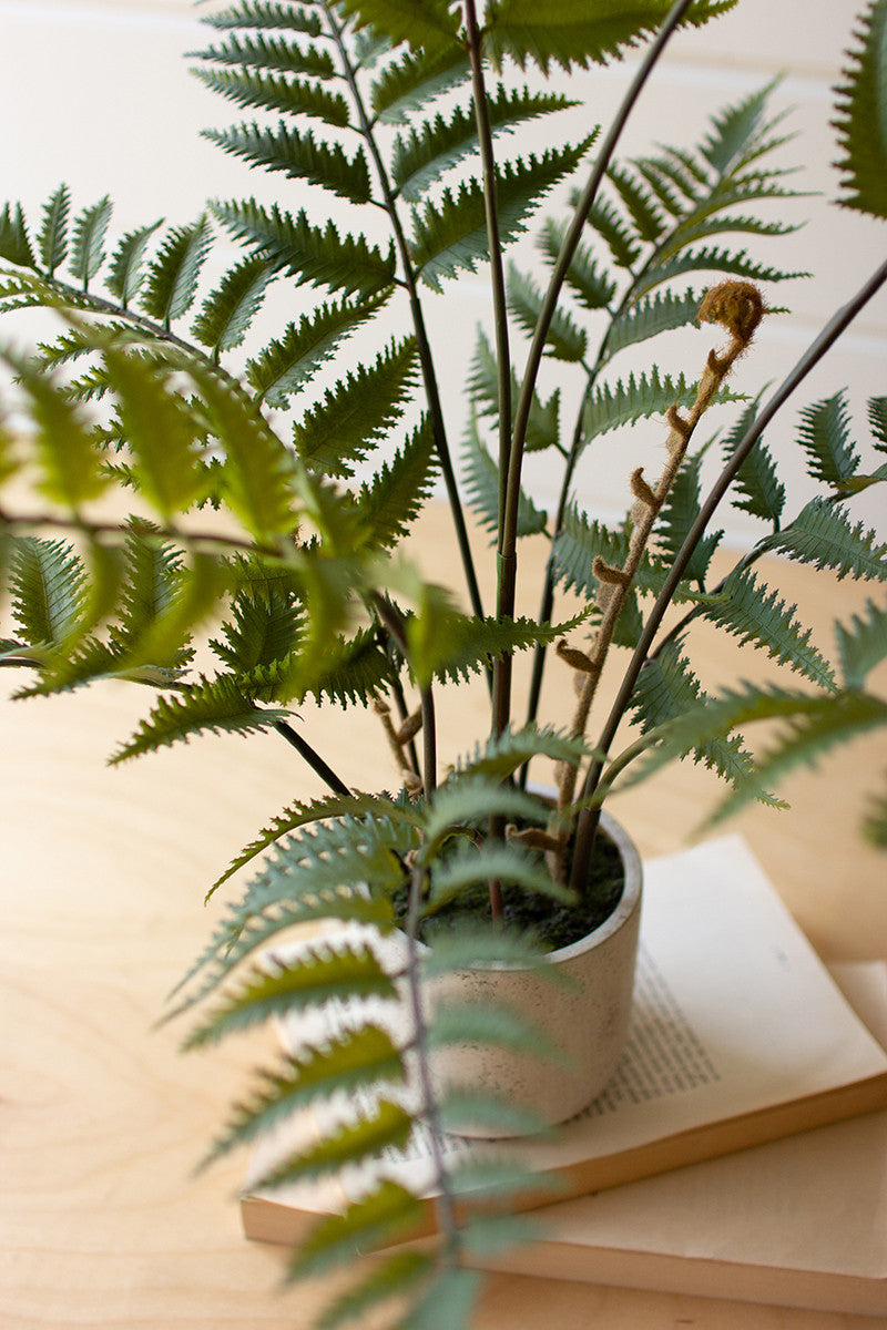 Potted Faux Plant